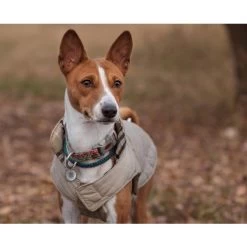 Spotted! Pro Dog & Cat 9 Spotted! Pro Dog & Cat -Haustierprodukte spotted pro dog cat 166918 0500 none