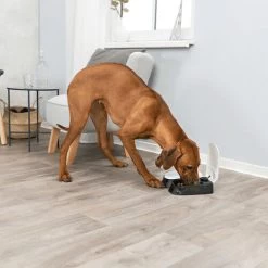 Trixie Doppel-Futterautomat TX2 7 Trixie Doppel-Futterautomat TX2 -Haustierprodukte trixie dubbele voederautomaat tx2 170914 0500 none