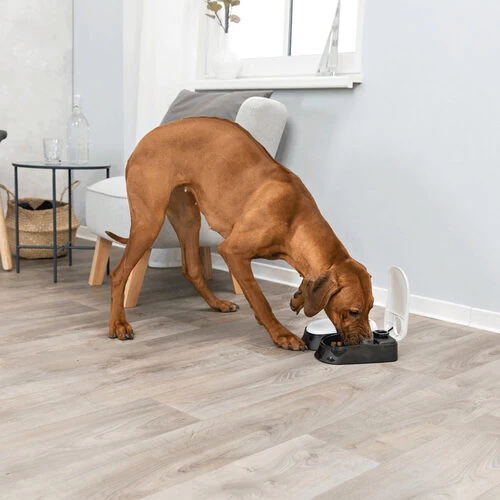 Trixie Doppel-Futterautomat TX2 5 Trixie Doppel-Futterautomat TX2 – Bild 3