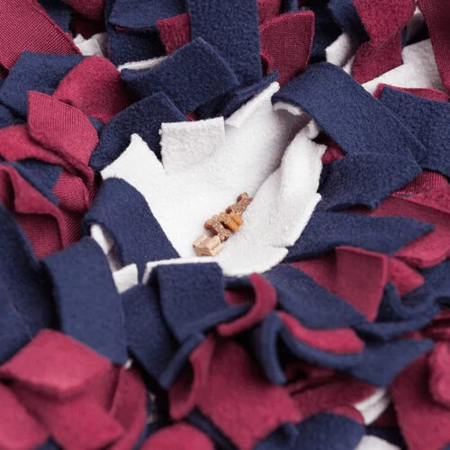 Trixie Schnüffelteppich 11 Trixie Schnüffelteppich – Bild 9