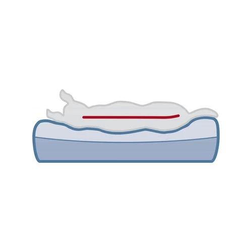 Trixie Vital Matratze Bendson - Dunkelbraun/Beige 6 Trixie Vital Matratze Bendson - Dunkelbraun/Beige – Bild 4