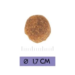 Vetality Adult Maxi - Hundefutter -Haustierprodukte vetality adult maxi hondenvoer 213656 0500 none