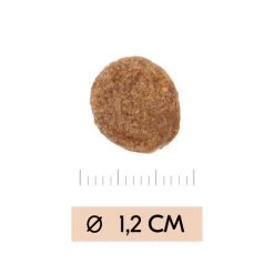 Vetality Gastrointestinal - Hundefutter -Haustierprodukte vetality gastrointestinal hondenvoer 195449 0500 none