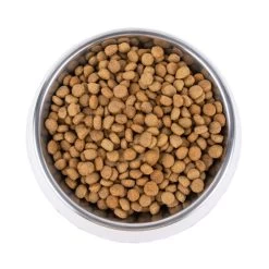 Vetality Metabolic & Mobility - Hundefutter 11 Vetality Metabolic & Mobility - Hundefutter -Haustierprodukte vetality metabolic mobility hondenvoer 195275 0500 none