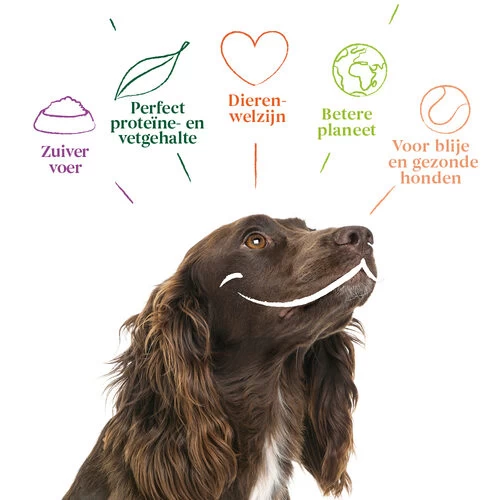 Yarrah - Hundefutter In Soße Vega Mit Hagebutten Bio 6 Yarrah - Hundefutter In Soße Vega Mit Hagebutten Bio – Bild 4