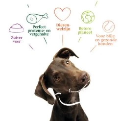 Yarrah - Getreidefreies Trockenfutter Bio -Haustierprodukte yarrah droogvoer hond graanvrij bio 201170 0500 none