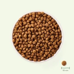 Yarrah - Trockenfutter Für Kleine Rassen Mit Huhn Bio -Haustierprodukte yarrah droogvoer hond voor kleine rassen bio 199133 0500 none