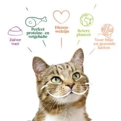 Yarrah - Katzenfutter Paté Rind Mit Chicorée Bio 11 Yarrah - Katzenfutter Paté Rind Mit Chicorée Bio -Haustierprodukte yarrah pat kat kuipje met rund bio 201059 0500 none