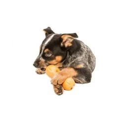 Zogoflex Qwizl -Haustierprodukte zogoflex qwizl 136852 0500 none